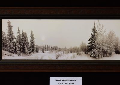 North Woods Winter
